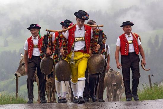 boys on cattle down drive