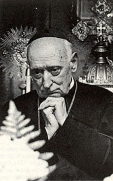 Card. Mindszenty