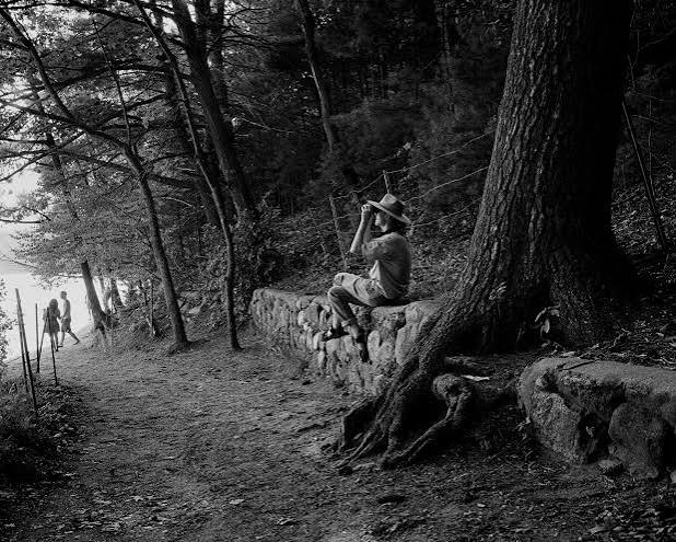 thoreau forest